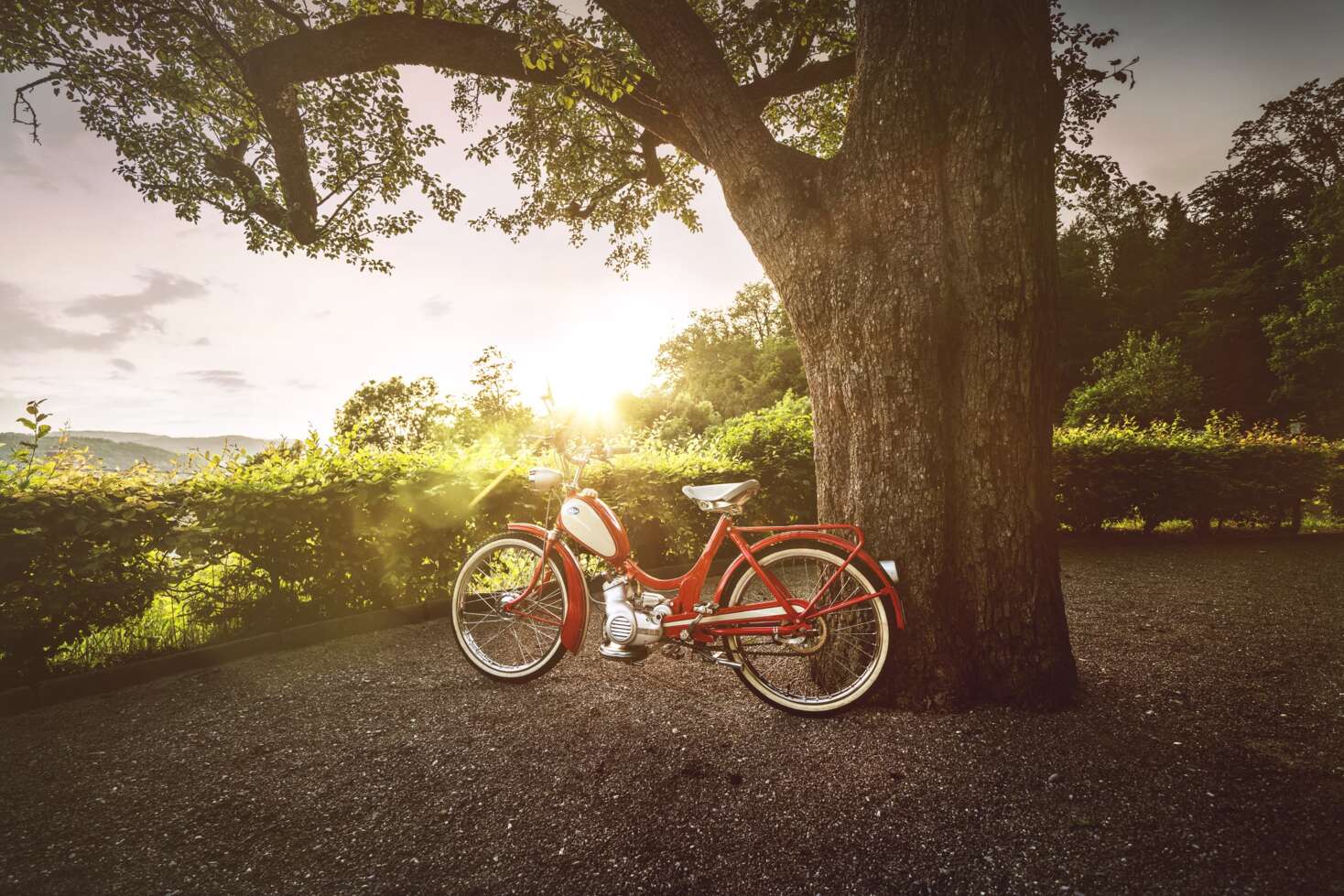 03_classic-2021 03_classic-2021