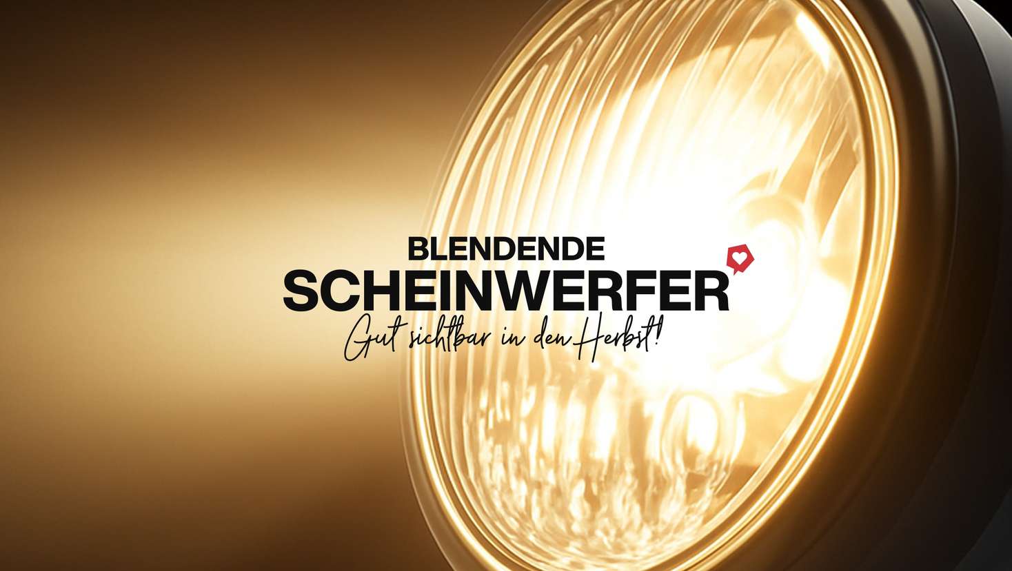 de-shop-landing-01-XL de-shop-landing-01-XL