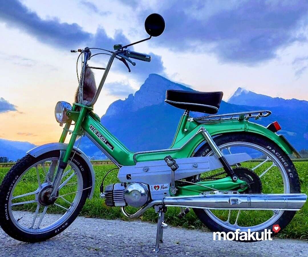 Maxi S von Sonja Maxi S von Sonja