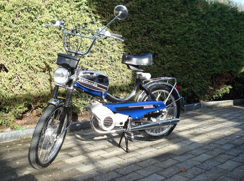 Belmondo von Dominic Belmondo von Dominic