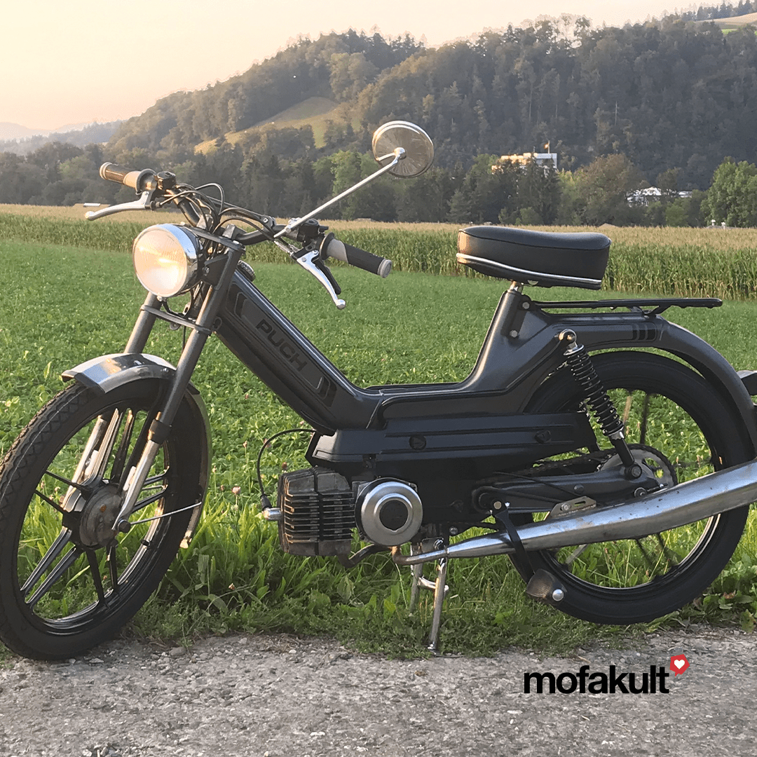 Maxi S von Lukas Maxi S von Lukas