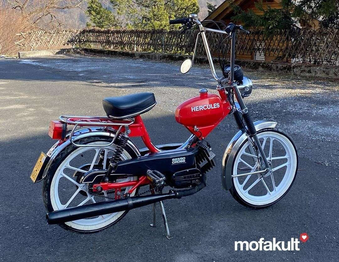 Hercules von Raphael Hercules von Raphael