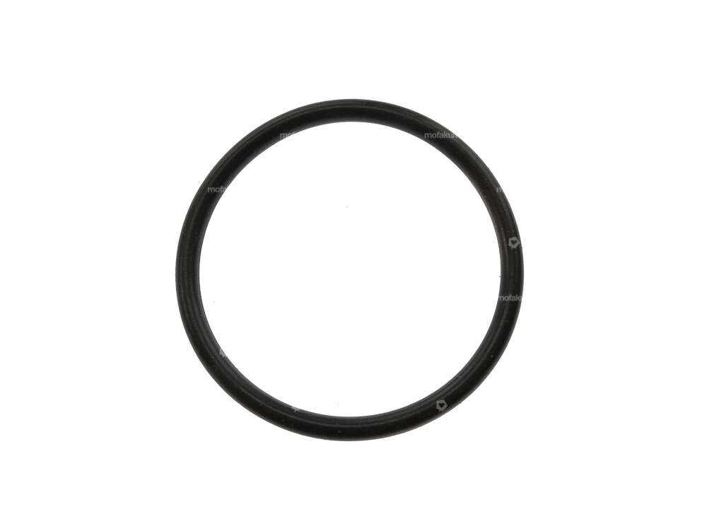 O-ring fuel filler cap | Solex Carousel Image 1