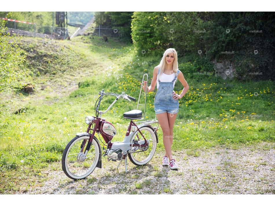 66HEROES Rückenlehne / Sissybar Carousel Image 4