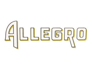 Allegro stickers Puch / Sachs side panels Allegro stickers Puch / Sachs side panels