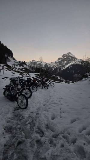 Profile picture