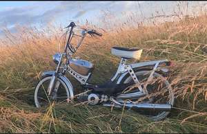 Profile picture