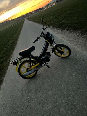 Profilbild