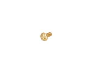 swiing® revival Schraube Rahmenschutz M2.5x5 Linsenkopf Messing swiing® revival Schraube Rahmenschutz M2.5x5 Linsenkopf Messing