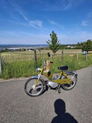 Sachs 503 Sachs 503