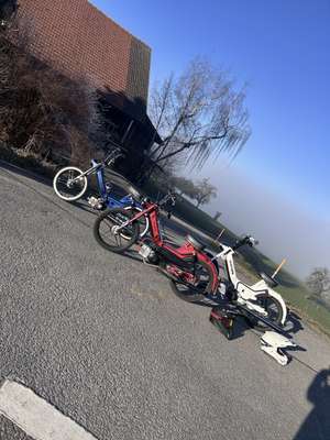 OG Trio OG Trio